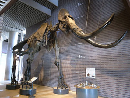 Ibaraki Nature Museum