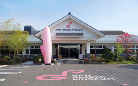 New Ginger Museum