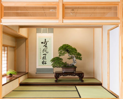 Omiya Bonsai Art Museum, Saitama
