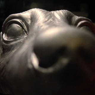 [Aohitokun's Thoughts]「アートワールド」byアーサー・ダントーを巡って